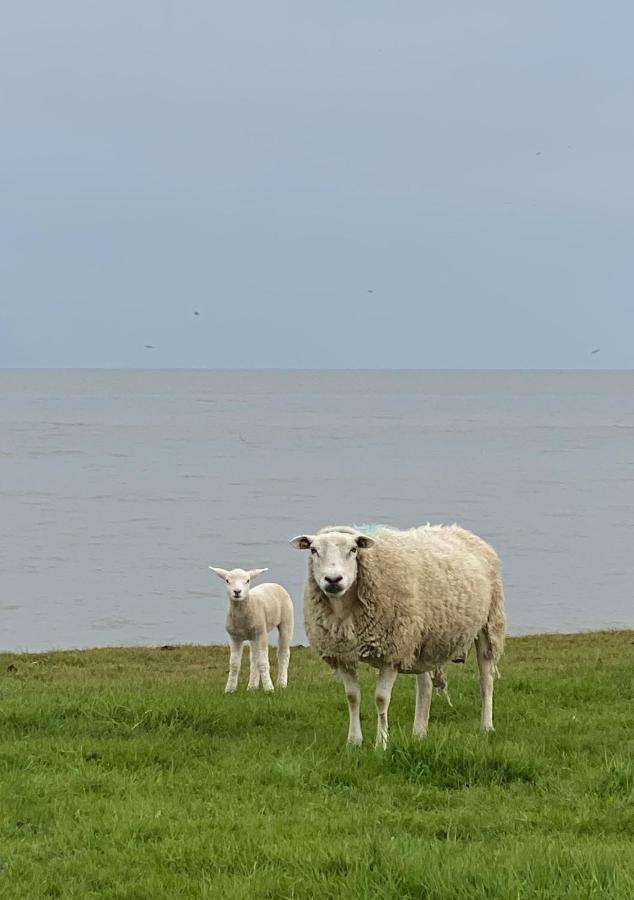 Vila De Vier Winden Hindeloopen Exteriér fotografie